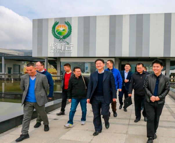 集团党委书记、董事长任丁率队调研聚峰谷