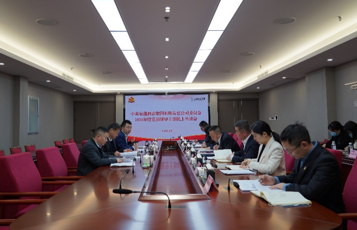 尊龙凯时集团党委书记、董事长任丁出席安逸酒店集团2022年度党员领导干部民主生活会